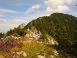 2013-08-25_Risserkogel (124).JPG